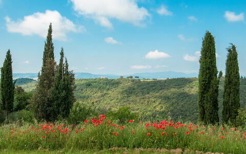 Fontanelle 16: Natuurlijk Landschap, Weide, Natuur, Natuurlijke Omgeving, Vegetation, Grasland, Lucht, Wildernis, Natuurgebied, Biome