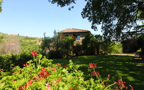 Villa Gioiosa: Bloem, Fabriek, Lucht, Plantengemeenschap, Boom, Natuurlijk Landschap, Gebouw, Land Lot, Vegetation, Gras