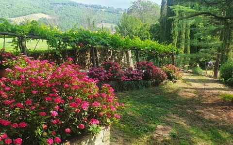 Palazzo Rosadi: Bloem, Fabriek, Plantengemeenschap, Plantkunde, Natuurlijk Landschap, Lucht, Vegetation, Biome, Petal, Boom
