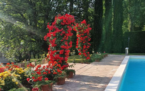 Torre del Cielo: Water, Bloem, Fabriek, Groen, Boom, Vegetation, Petal, Gras, Bloempot, Landschap