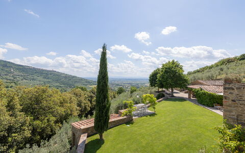 Tenuta Pomona: Vegetation, Heuvel, Landschap, Struik, Hoogland, Land Lot, Plantengemeenschap, Heuvel Station, Groundcover