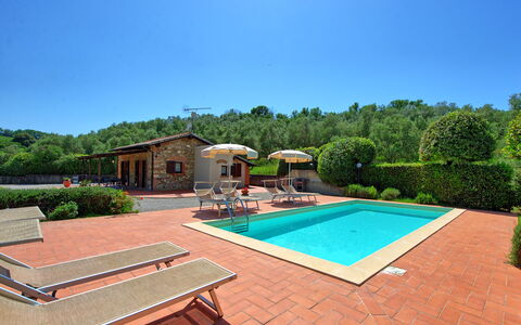 Cuccardino: Lucht, Eigendom, Fabriek, Zwembad, Water, Boom, Buitenmeubels, Hout, Rechthoek, Gras