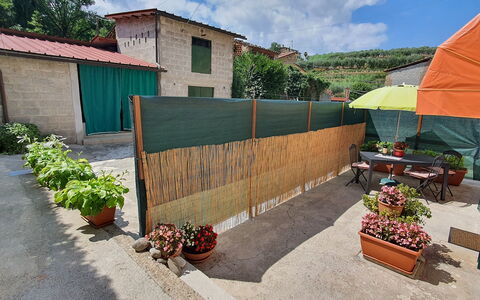 La Piccola Margherita: Eigendom, Huis, Muur, Onroerend Goed, Huis, Backyard, Gebouw, Land Lot, Landschap, Werf