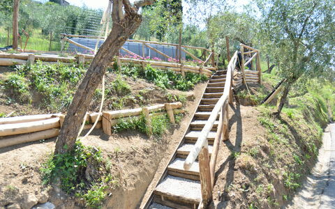 Alla Piazzetta: Boom, Plantkunde, Trap, Gang, Fabriek, Hout, Plantengemeenschap, Wild, Boardwalk, Huis