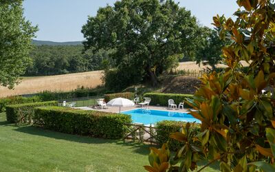 La Piccola Selva: Eigendom, Zwembad, Toevlucht, Boom, Huis, Onroerend Goed, Villa, Gebouw, Vakantie, Vrije Tijd