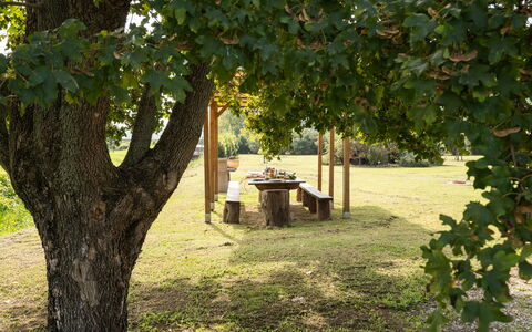 Incanto Toscano: Fabriek, Afdeling, Plantkunde, Schaduw, Boom, Vegetation, Zonlicht, Biome, Gras, Natuurlijk Landschap