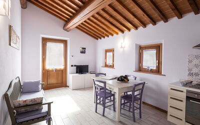 Accommodatie:&nbsp;Viola