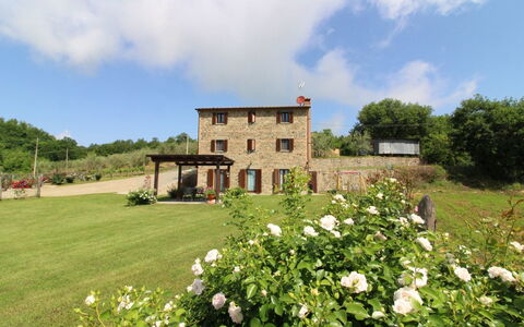 Poggio del Fabbro: Bloem, Fabriek, Wolk, Gebouw, Lucht, Boom, Natuurlijk Landschap, Venster, Land Lot, Huis
