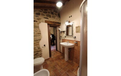 Accommodatie:&nbsp;Olinto