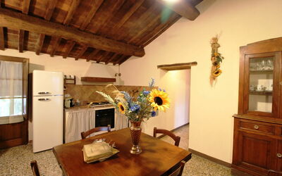 Accommodatie:&nbsp;Carola