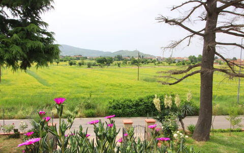 Podere i Gigli: Natuur, Natuurlijk Landschap, Vegetation, Natuurlijke Omgeving, Grasland, Boom, De Lente, Fabriek, Tuin, Plantkunde
