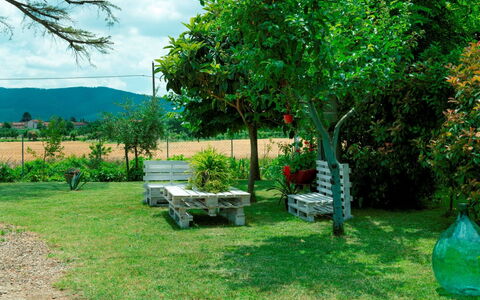 Podere i Gigli: Fabriek, Lucht, Groen, Plantengemeenschap, Wolk, Boom, Openluchtbank, Natuurlijk Landschap, Land Lot, Gras