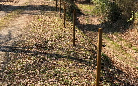 L'incanto: Fabriek, Boom, Natuurlijk Landschap, Hout, Trunk, Gras, Vergankelijk, Woody Plant, Groundcover, Struik