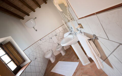 Accommodatie:&nbsp;Suite 209