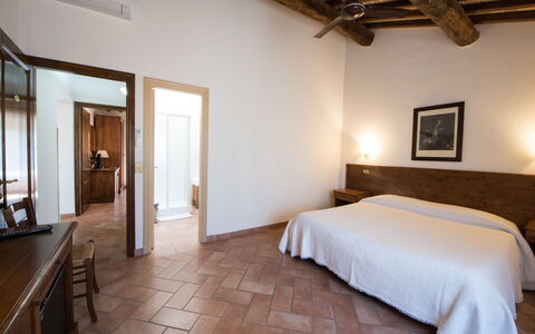 Accommodatie:&nbsp;Camera 202b