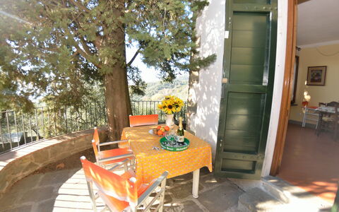 La Cipressa: Eigendom, Kamer, Huis, Veranda, Onroerend Goed, Huis, Meubilair, Backyard, Gebouw, Patio