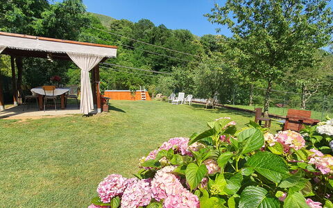 Casa Irene: Bloem, Fabriek, Lucht, Plantkunde, Natuur, Petal, Boom, Natuurlijk Landschap, Gras, Landschap