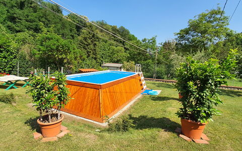 Casa Irene: Fabriek, Plantengemeenschap, Lucht, Schaduw, Buitenmeubels, Vegetation, Bloempot, Zwembad, Boom, Gras
