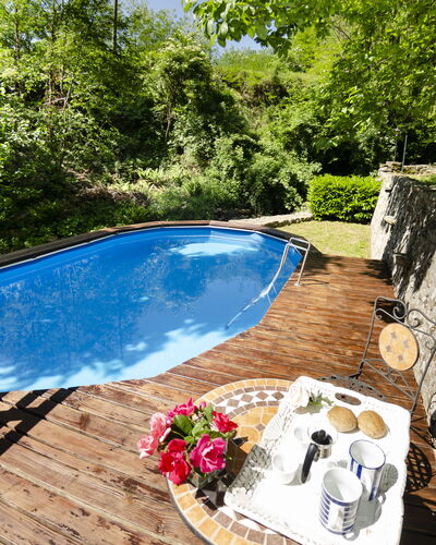 Il Molino: Water, Fabriek, Eigendom, Zwembad, Bloem, Boom, Buitenmeubels, Zwemwater, Schaduw, Hout