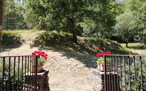 Vignoli: Natuur, Vegetation, Boom, Eigendom, Tuin, Plantkunde, Natuurgebied, De Lente, Fabriek, Gras