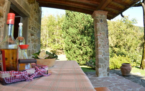 Vignoli: Eigendom, Gebouw, Kamer, Veranda, Huis, Patio, Onroerend Goed, Huis, Landgoed, Villa