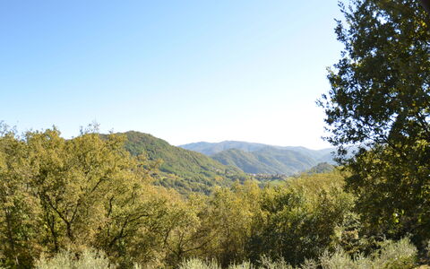 Vignoli: Bergachtig Landvormen, Vegetation, Natuur, Natuurlijk Landschap, Boom, Lucht, Berg, Wildernis, Natuurlijke Omgeving, Heuvel