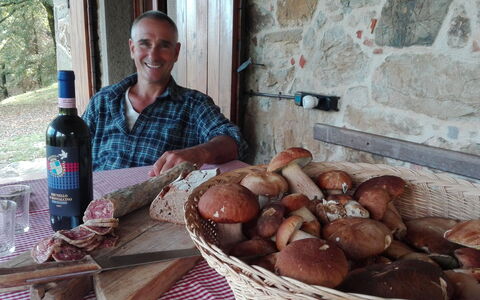 Vignoli: Voedsel, Ingrediënt, Keuken, Schotel