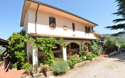 Petra: Eigendom, Huis, Gebouw, Onroerend Goed, Huis, Villa, Landelijk Gebied, Boom, Facade, Architectuur
