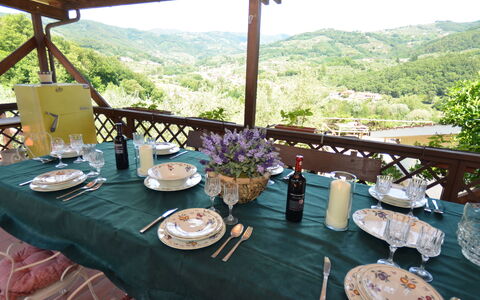 Petra: Restaurant, Tafel, Toevlucht, Kamer, Maaltijd, Tafelkleed, Meubilair, Vrije Tijd, Interieur Ontwerp, Ontbijt