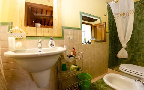 Podere L'istrice: Badkamer, Kamer, Eigendom, Toilet, Interieur Ontwerp, Wc Bril, Loodgieterswerkinrichting, Muur, Verdieping, Kraan