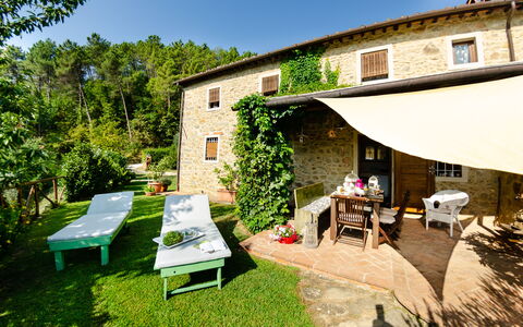 Podere L'istrice: Eigendom, Huis, Gebouw, Backyard, Werf, Huis, Onroerend Goed, Architectuur, Kamer, Gras