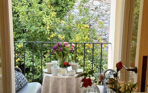 Alle Mura: Meubilair, Interieur Ontwerp, Tafel, Stoel, Bloempot, Balkon, Glas, Kamerplant