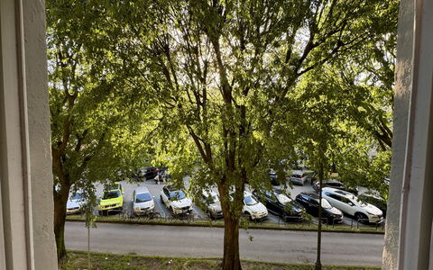 Alle Mura: Voertuig, Auto, Boom, Motorvoertuig, Wiel, Vervoer, Automotive Buiten