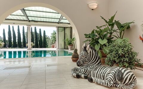 Terrazza e Libreria: Fabriek, Interieur Ontwerp, Gebouw, Venster, Boom, Arecales, Flooring, Hout, Onroerend Goed, Gras