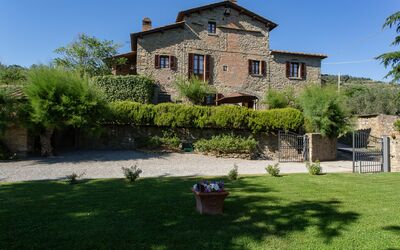 Garden and outdoor view