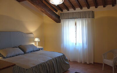 Accommodatie:&nbsp;Dante Alighieri