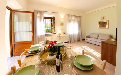 Accommodatie:&nbsp;Serenella