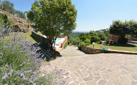 Agli Olivi: Eigendom, Tuin, Boom, Plantkunde, Onroerend Goed, Landschap, Gang, Landscaping, Fabriek, Huis