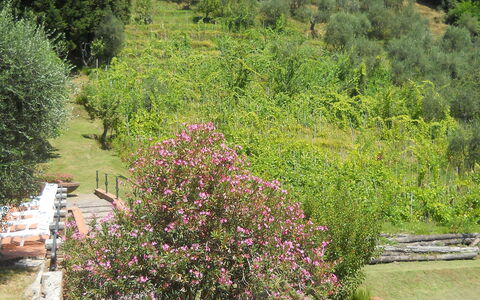 Aurora: Vegetation, Tuin, Boom, Botanische Tuin, Plantkunde, Fabriek, Struik, Plantengemeenschap, Landschap, Bloem