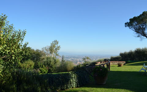 Aurora: Lucht, Groen, Boom, Gras, Ochtend, Wolk, Landelijk Gebied, Blad, Grassenfamilie, Land Lot