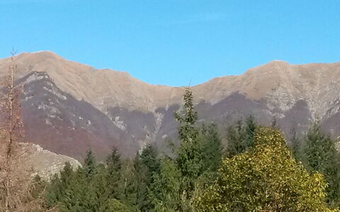 Ai Cuori: Bergachtig Landvormen, Berg, Wildernis, Hoogland, Vegetation, Heuvel, Ridge, Bergketen, Heuvel Station, Boom