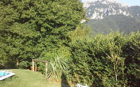 Emilia: Fabriek, Berg, Natuurlijk Landschap, Boom, Vegetation, Biome, Evergreen, Gras, Woody Plant, Groundcover