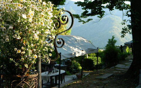Emilia: Fabriek, Boom, Huis, Gras, Vrije Tijd, Lucht, Landschap, Bloem, Struik, Bank