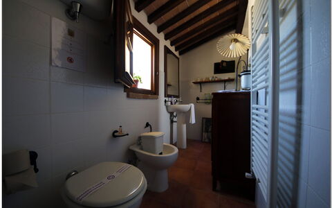 Villetta Di Cortona: Kamer, Eigendom, Badkamer, Toilet, Loodgieterswerkinrichting, Architectuur, Interieur Ontwerp, Huis, Gebouw, Bidet