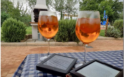 Villetta Di Cortona: Tableware, Fabriek, Drinkware, Tafel, Glaswerk, Barware, Boom, Oranje, Stoel