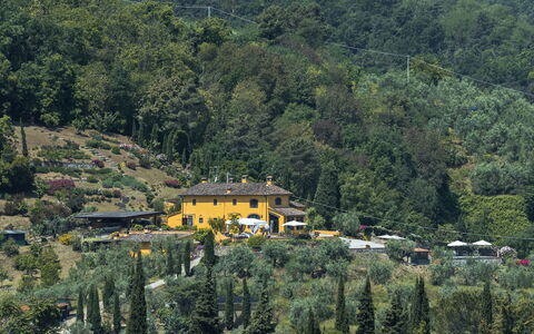 Villa Solaria: Heuvel Station, Vegetation, Bergdorp, Boom, Heuvel, Landelijk Gebied, Dorp, Huis, Woud, Berg