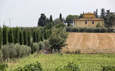 Villa Caterina