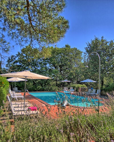 Sole Nel Prato: Eigendom, Onroerend Goed, Boom, Natuurgebied, Lucht, Plantkunde, Huis, Zwembad, Vrije Tijd, Tuin