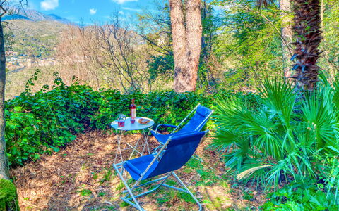 Olivi Del Mesco - Levanto: Vegetation, Majorelle Blue, Boom, Biome, Natuurlijk Landschap, Woud, Natuurgebied, Fabriek, Jungle, Plantendiversiteit