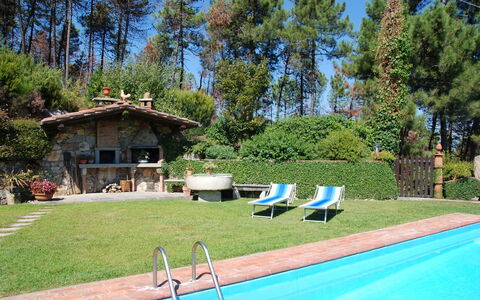 Al Mennucci: Eigendom, Zwembad, Onroerend Goed, Backyard, Huis, Werf, Huis, Gras, Vrije Tijd, Landgoed